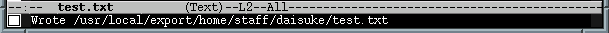 save file