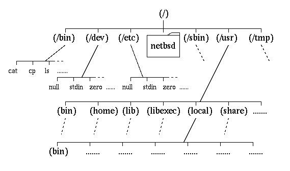 File System Tree