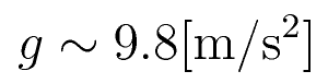 g \sim 9.8 \rm{[m/s^2]}