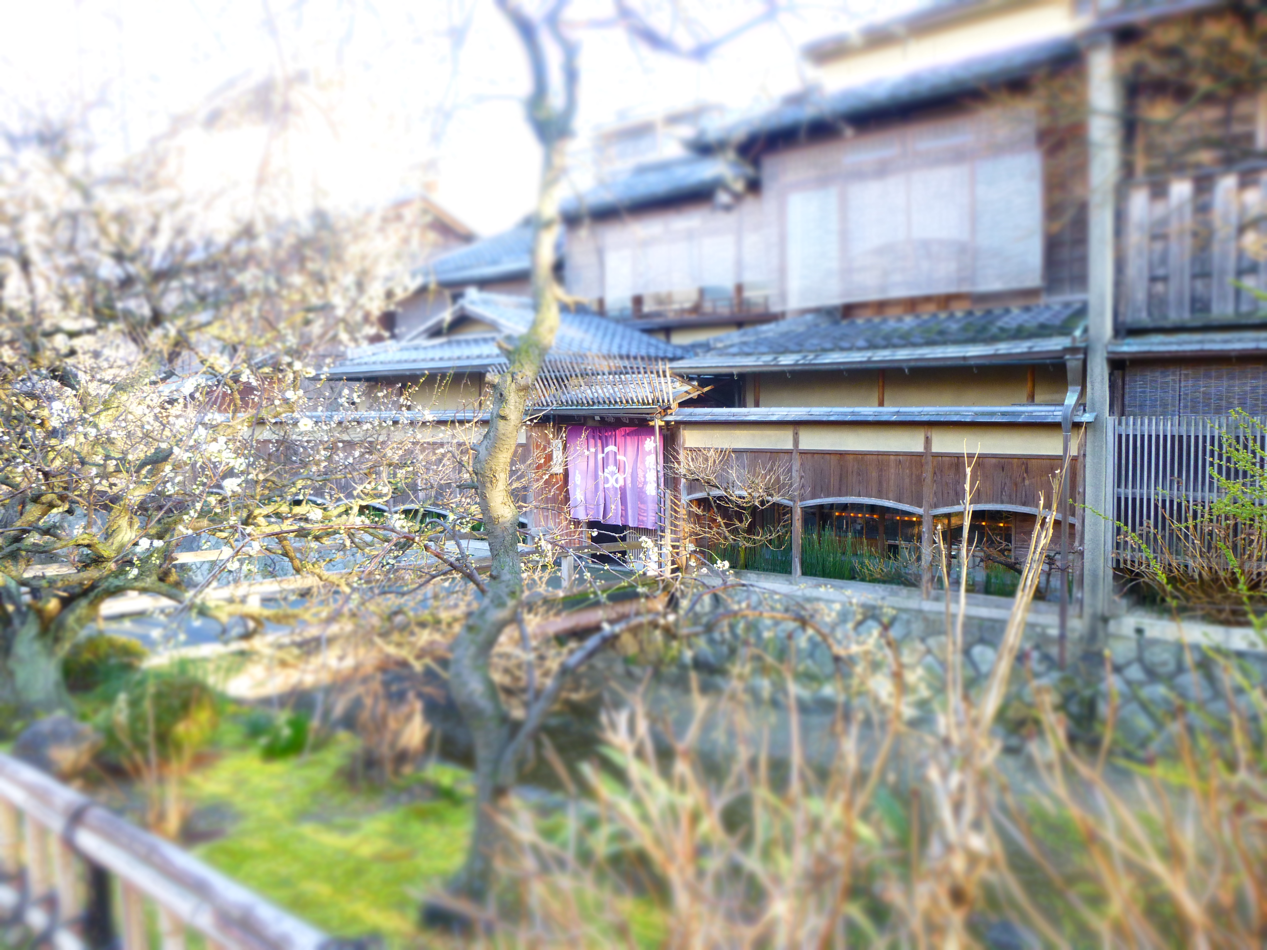 京都