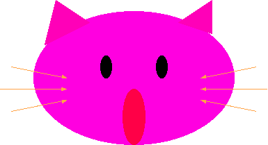 FUKAZAWA Yoshie
